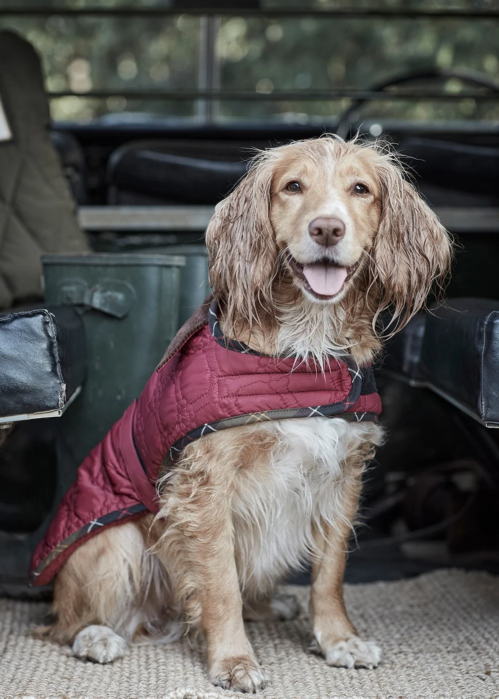 Bone Quilted Dog Coat - Image 2