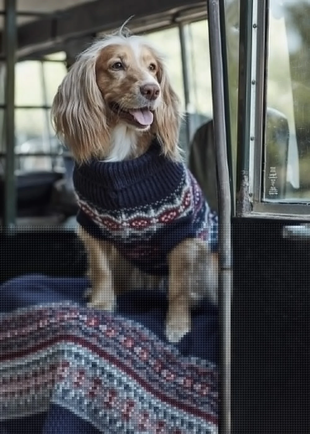 Case Fairisle Dog Jumper - Image 2
