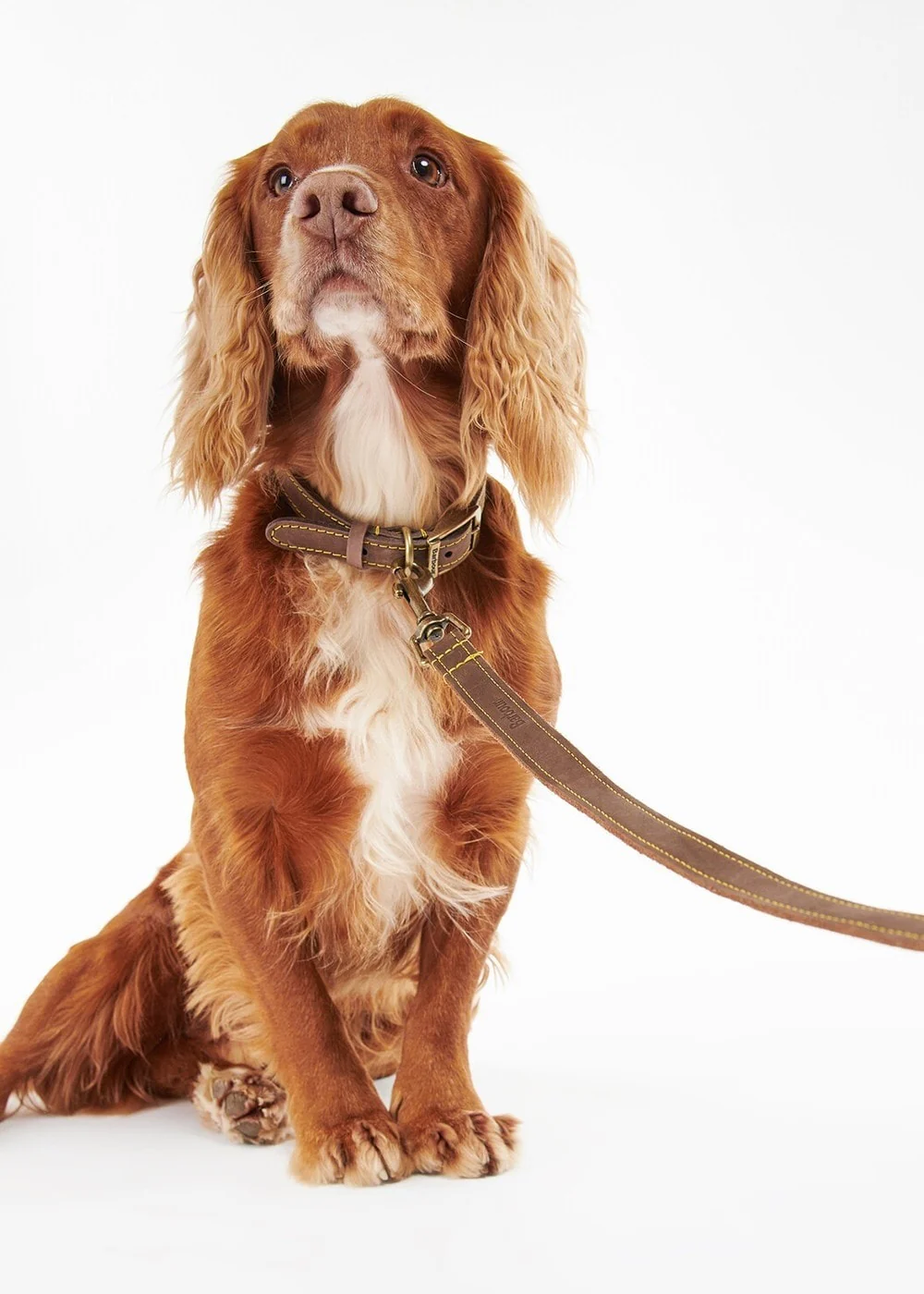 Leather Dog Lead - Image 2