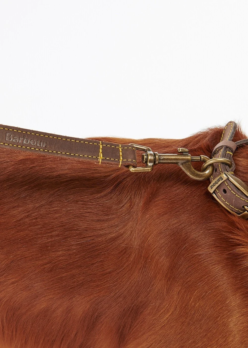 Leather Dog Lead - Image 5