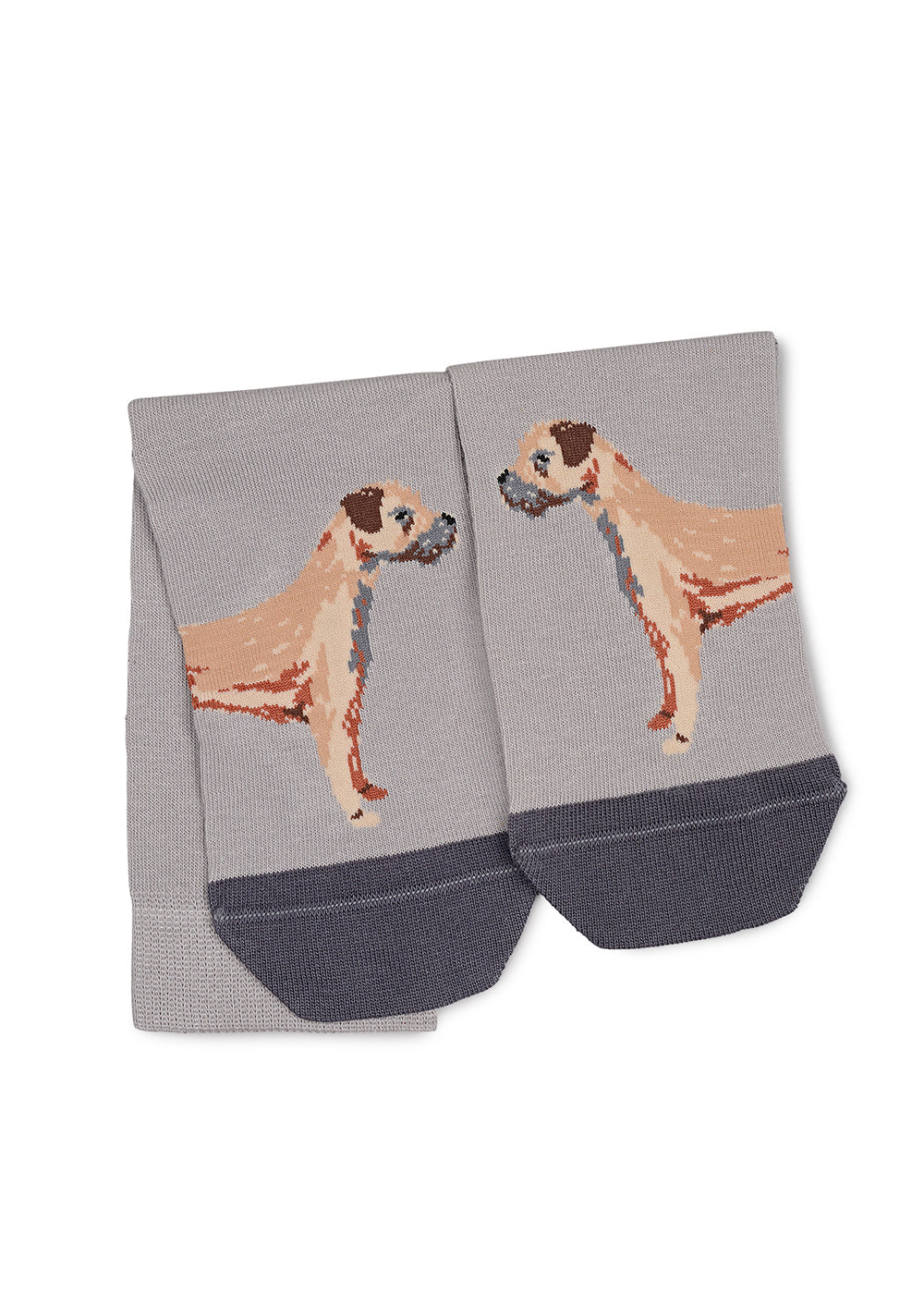Radley & Friends Socks - Image 3