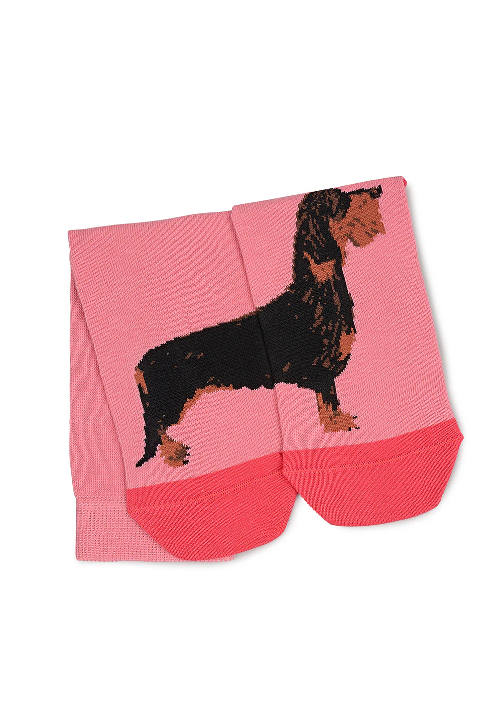 Radley & Friends Socks - Image 4