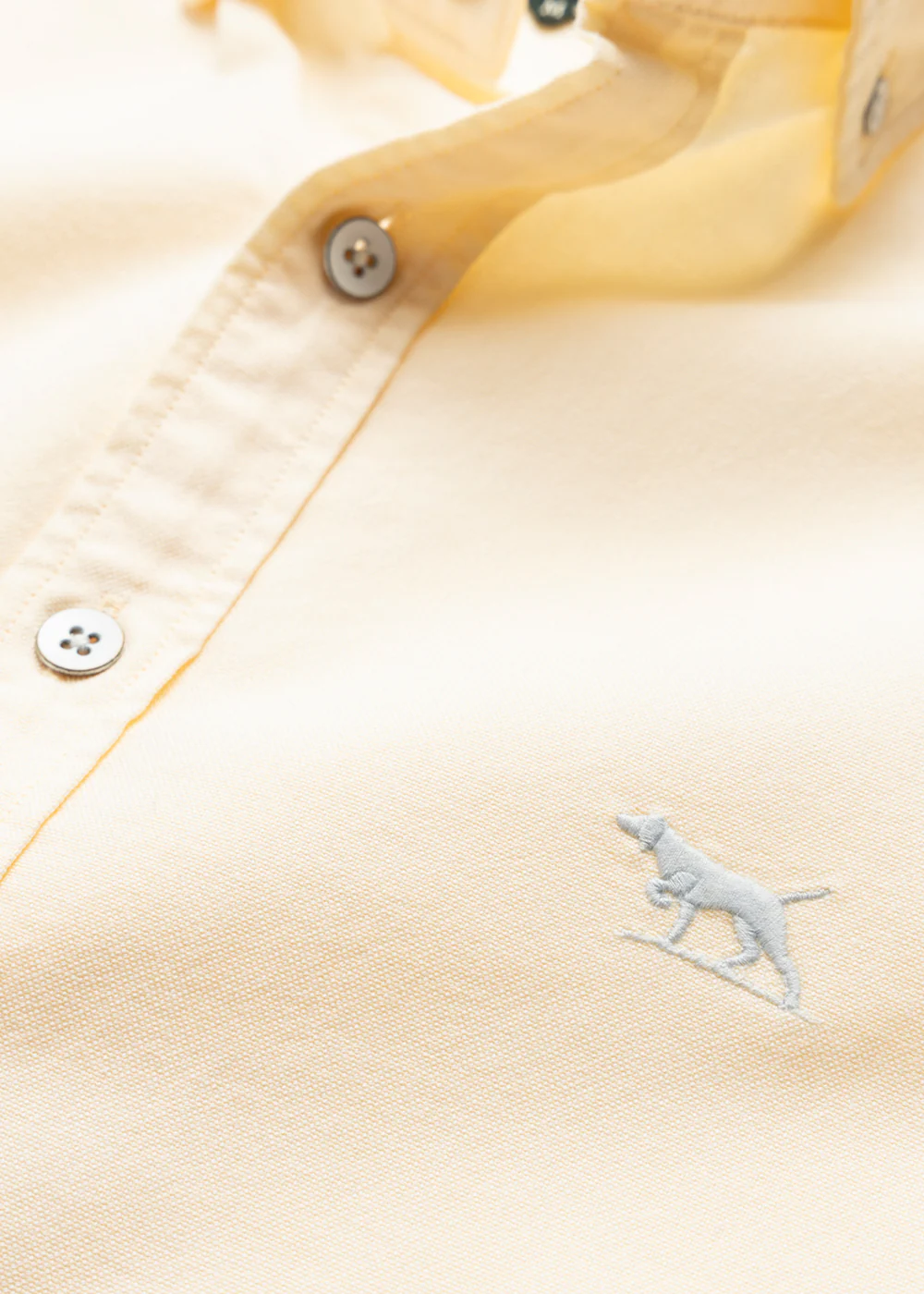 Gunn Oxford Shirt - Image 7