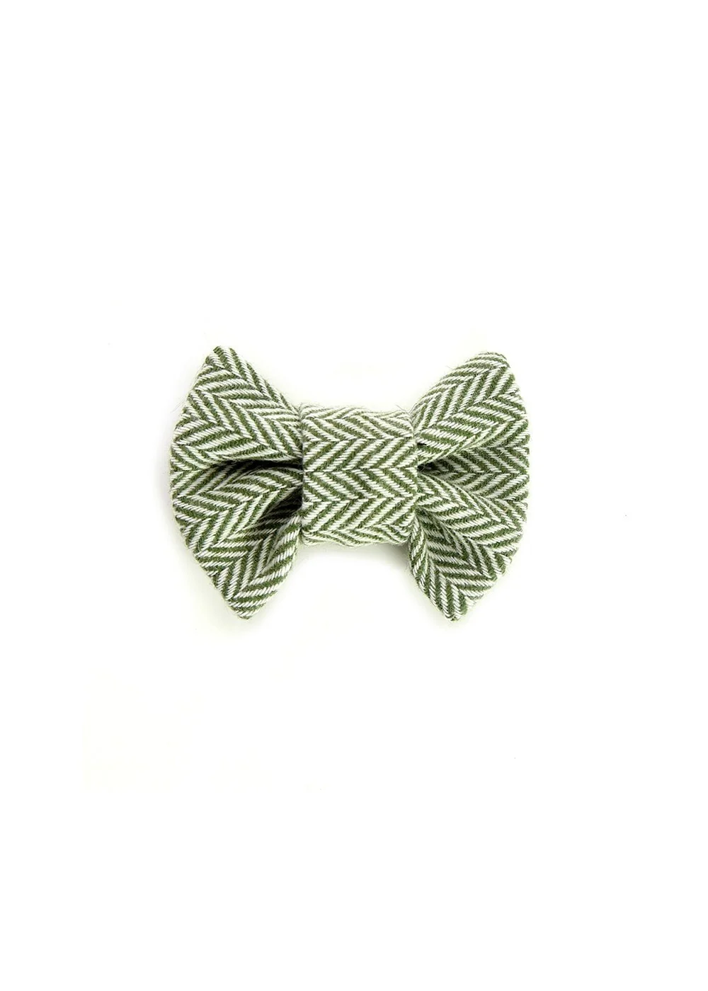 Teviot Dog Bow Tie - Image 2